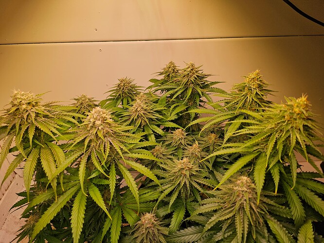 Growreport Bild 22