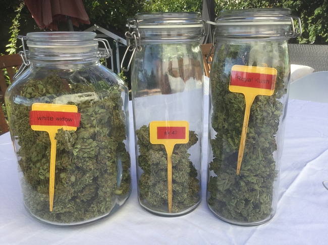 Growreport Bild 8