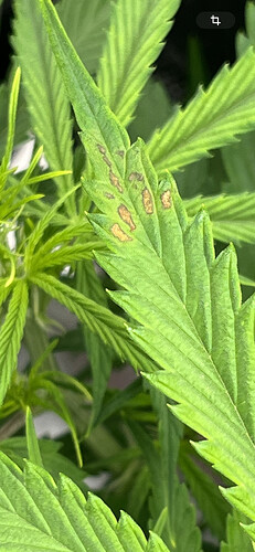 Growreport Bild 23