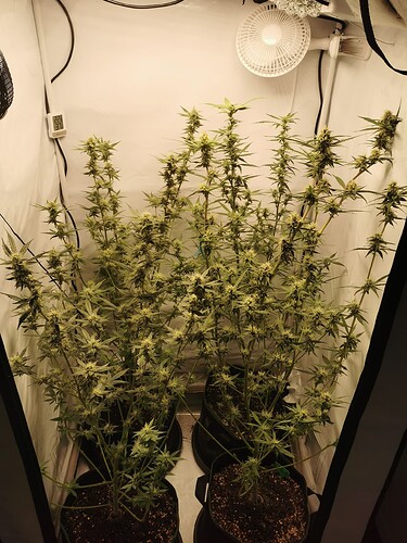 Growreport Bild 10