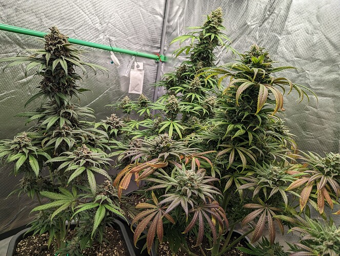 Growreport Bild 16