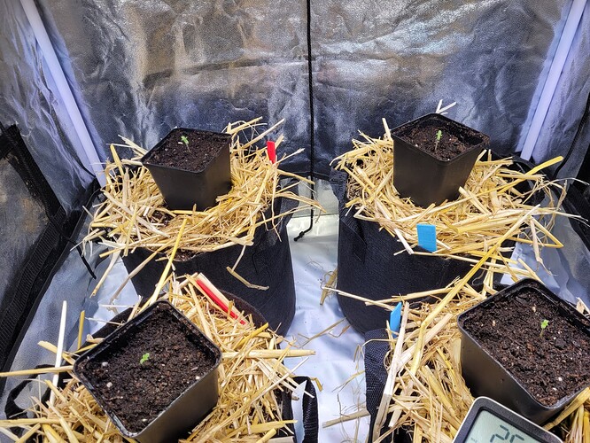 Growreport Bild 8