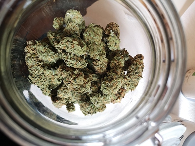 Growreport Bild 7