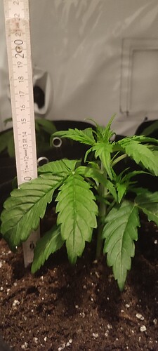 Growreport Bild 10