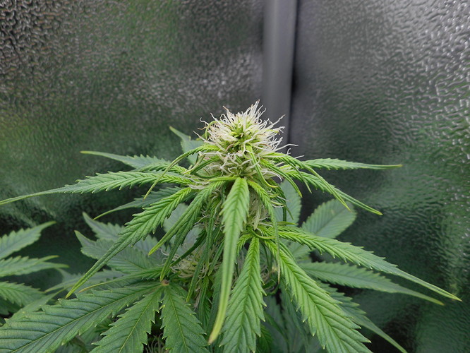 Growreport Bild 13