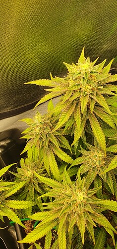 Growreport Bild 10