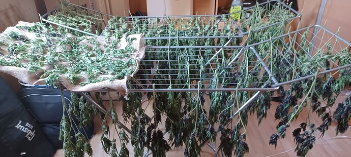 Growreport Bild 9