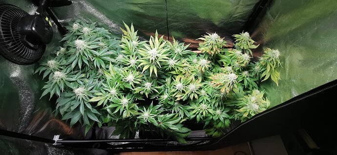 Growreport Bild 14