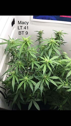 Growreport Bild 8