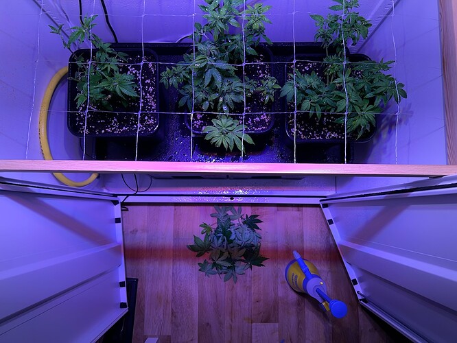 Growreport Bild 7