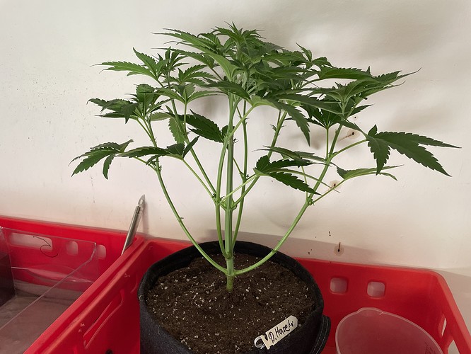 Growreport Bild 12