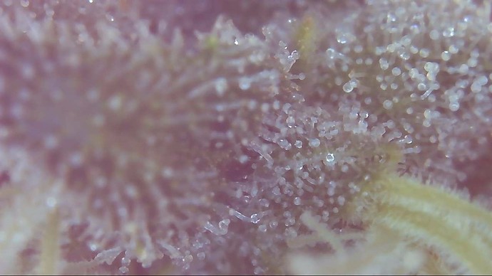 Growreport Bild 23