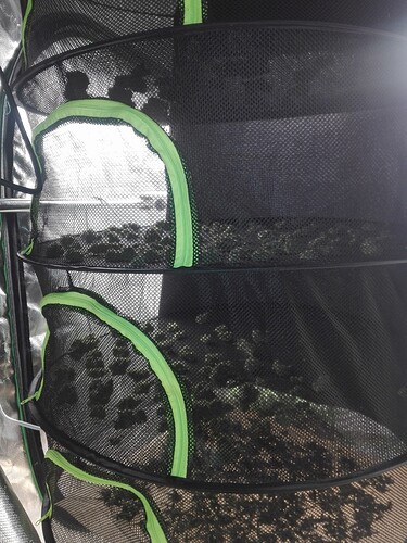 Growreport Bild 6