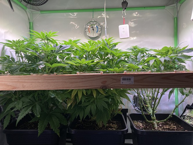Growreport Bild 16
