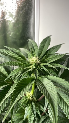 Growreport Bild 14