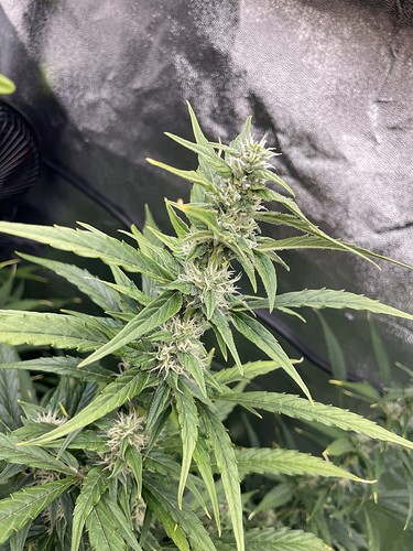 20211108_181701791_iOS