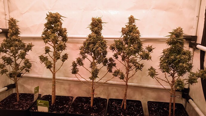 Growreport Bild 14