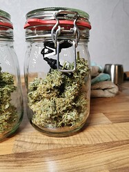 Growreport Bild 20