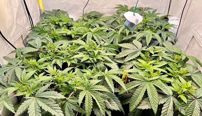 Growreport Bild 7