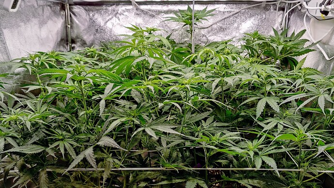 Growreport Bild 12