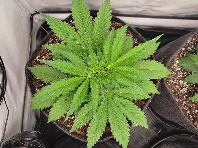 Growreport Bild 8