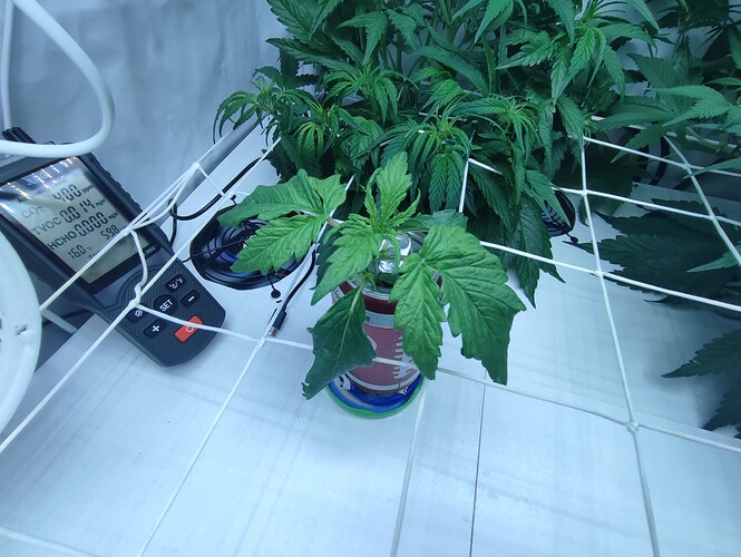 Growreport Bild 23
