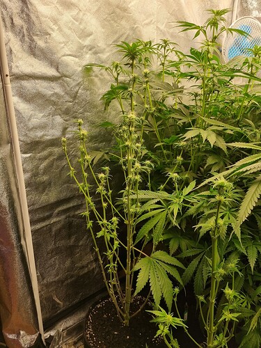 Growreport Bild 9