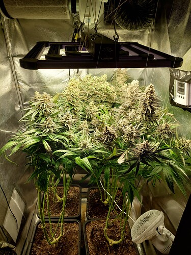 Growreport Bild 7