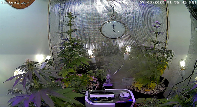 Growreport Bild 3