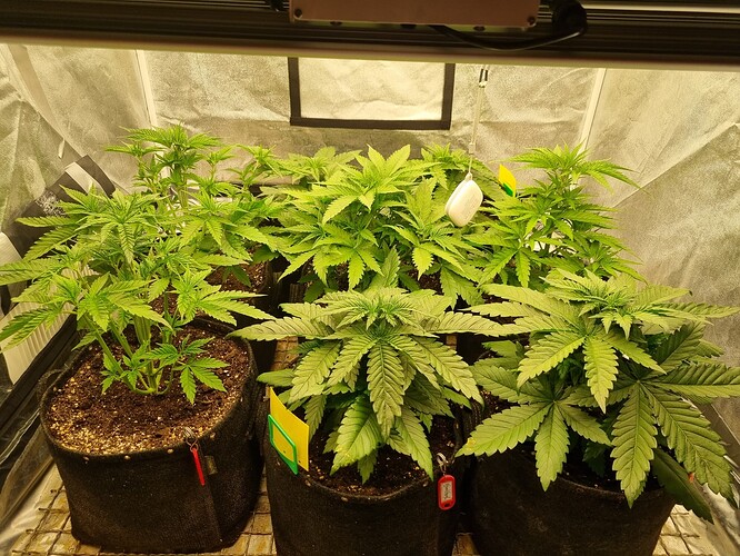 Growreport Bild 22