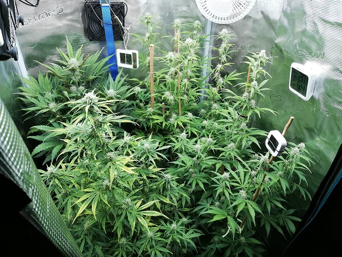 Growreport Bild 26