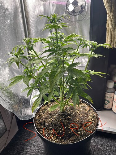 Growreport Bild 20