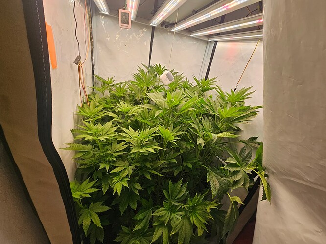 Growreport Bild 10