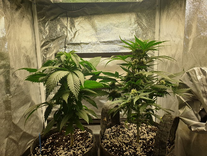 Growreport Bild 5