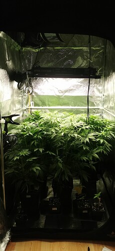 Growreport Bild 5