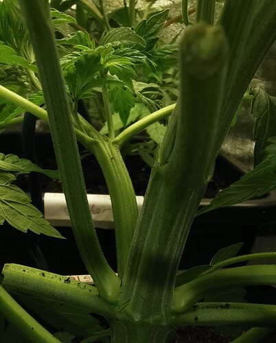 Growreport Bild 12