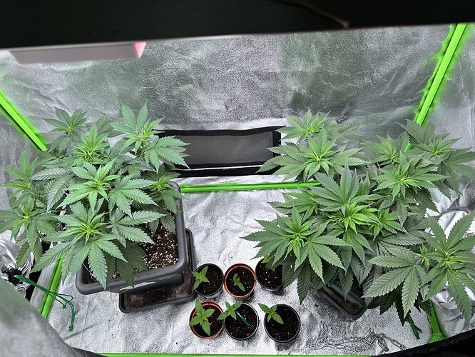 Growreport Bild 15