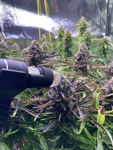 Growreport Bild 7