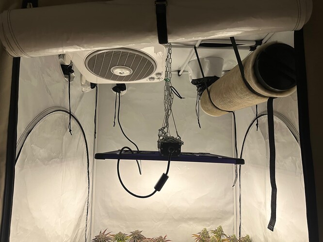 Growreport Bild 15