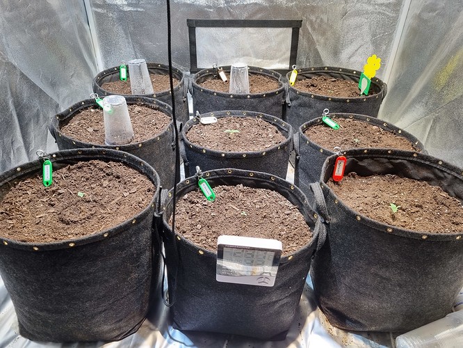 Growreport Bild 16