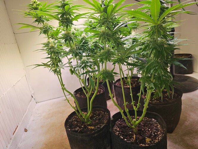 Growreport Bild 14