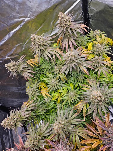 Growreport Bild 24