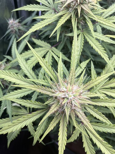 Growreport Bild 13