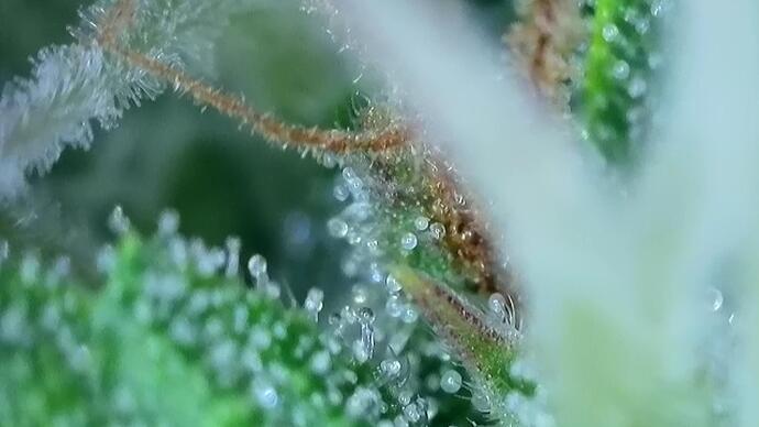 signal-2022-10-25-191504_007