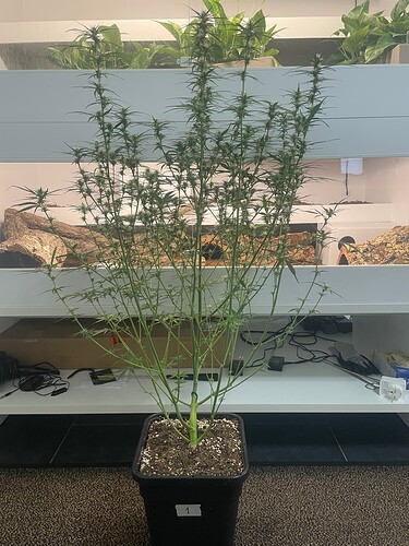 Growreport Bild 9