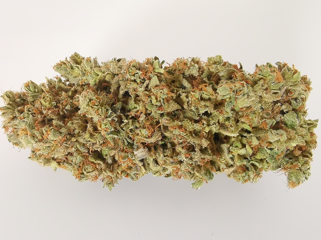 Growreport Bild 2