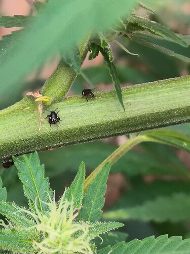 Growreport Bild 5
