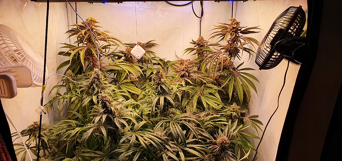 Growreport Bild 11
