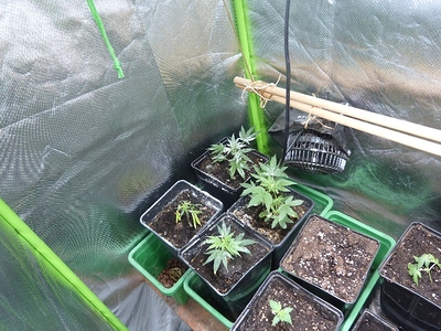 Growreport Bild 13