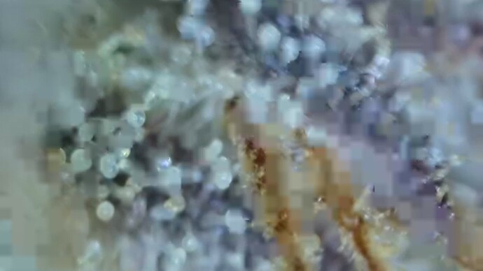 2022-06-25-032450561